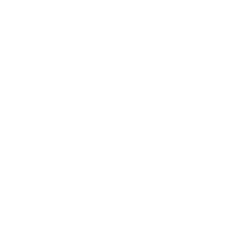 Aussizz Group