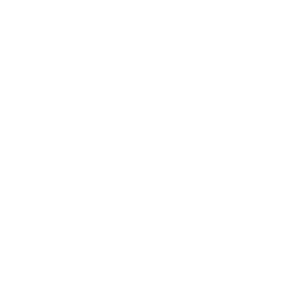 ICM Cargo
