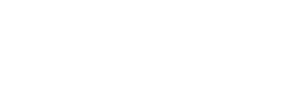 Quintessence Intelligence